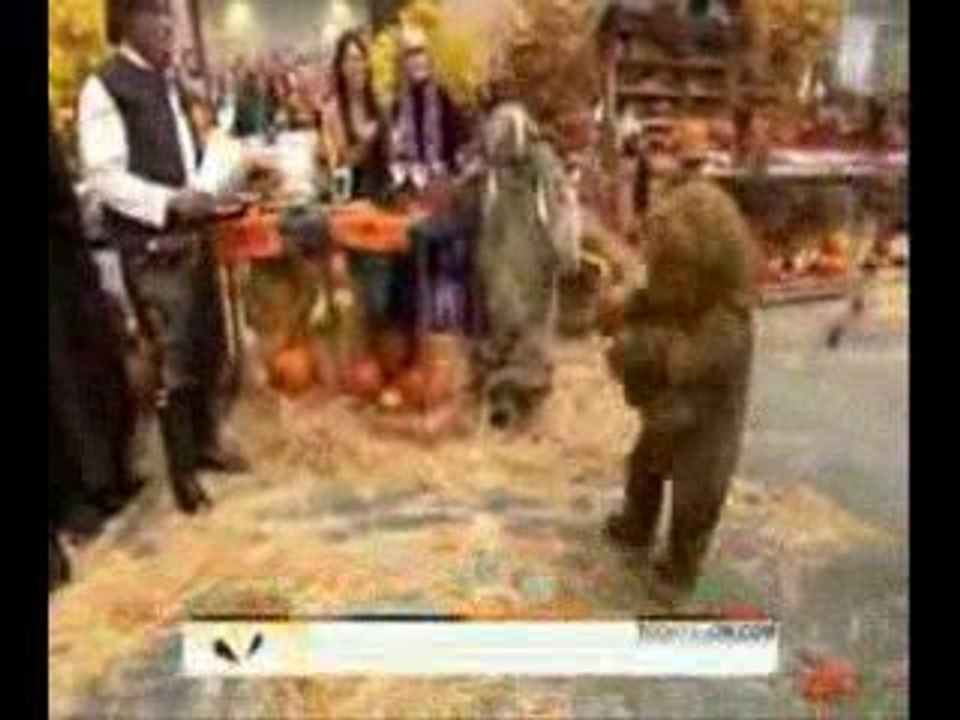 Ewoks bourrés à la télé