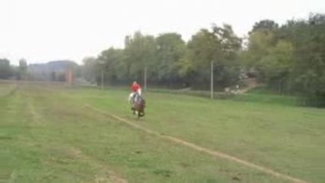 Equitation de Travail (9)