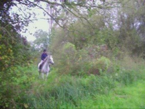 La Jument qui m'a appris à voler, à rire, à aimer ...