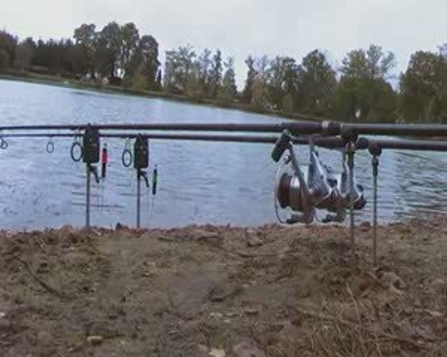 Départ carpe Delkim