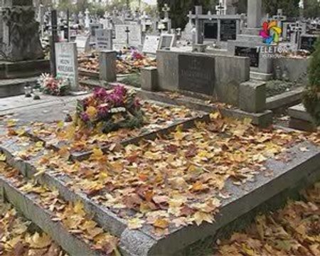 Wywiad z Burmistrzem Miasta i księdzem dziekanem