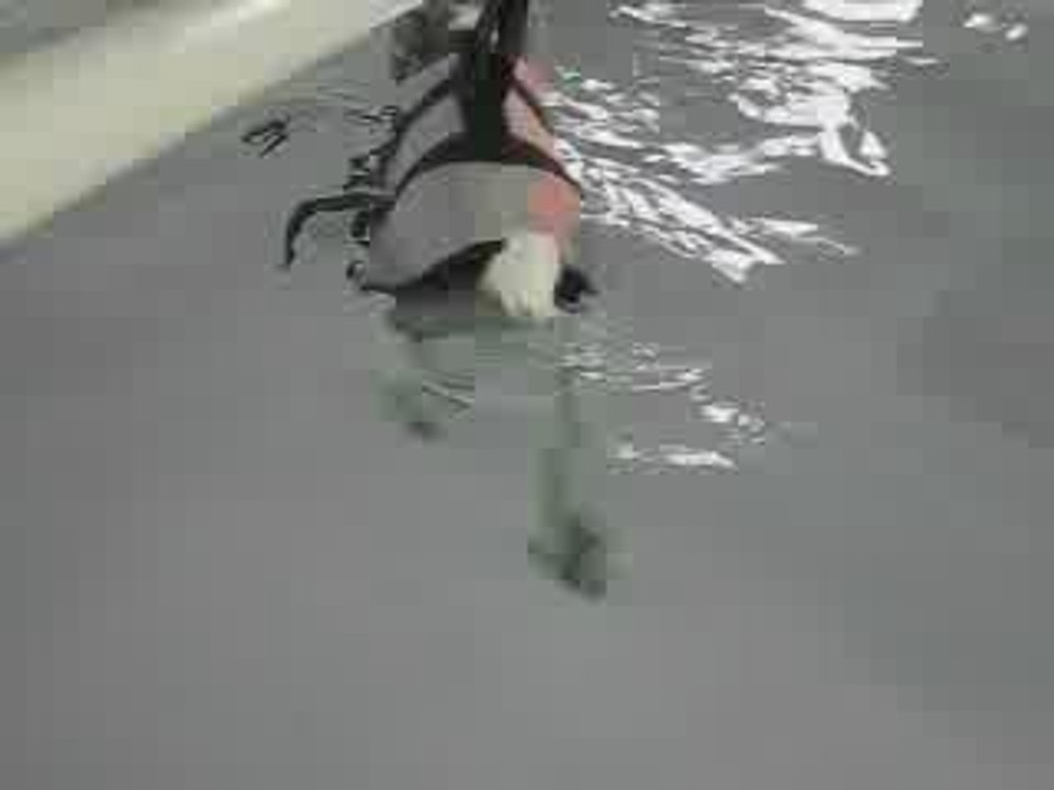 Hydrothérapie