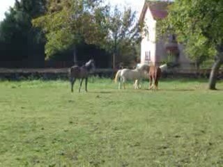 rencontre vieux jeunes