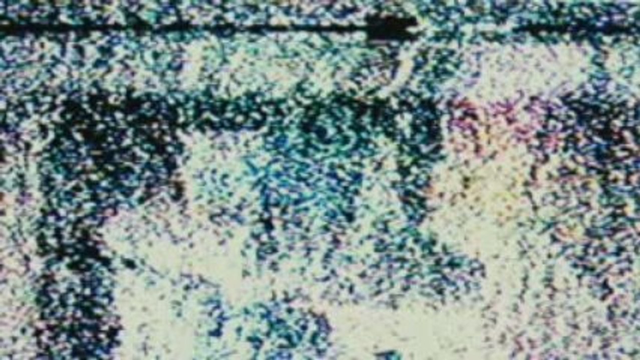 Paranormal Activity - deutscher Trailer