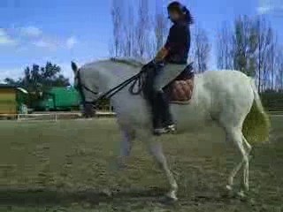 estrella séance de travail