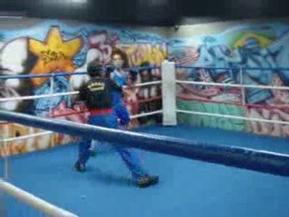 Savate Brasil