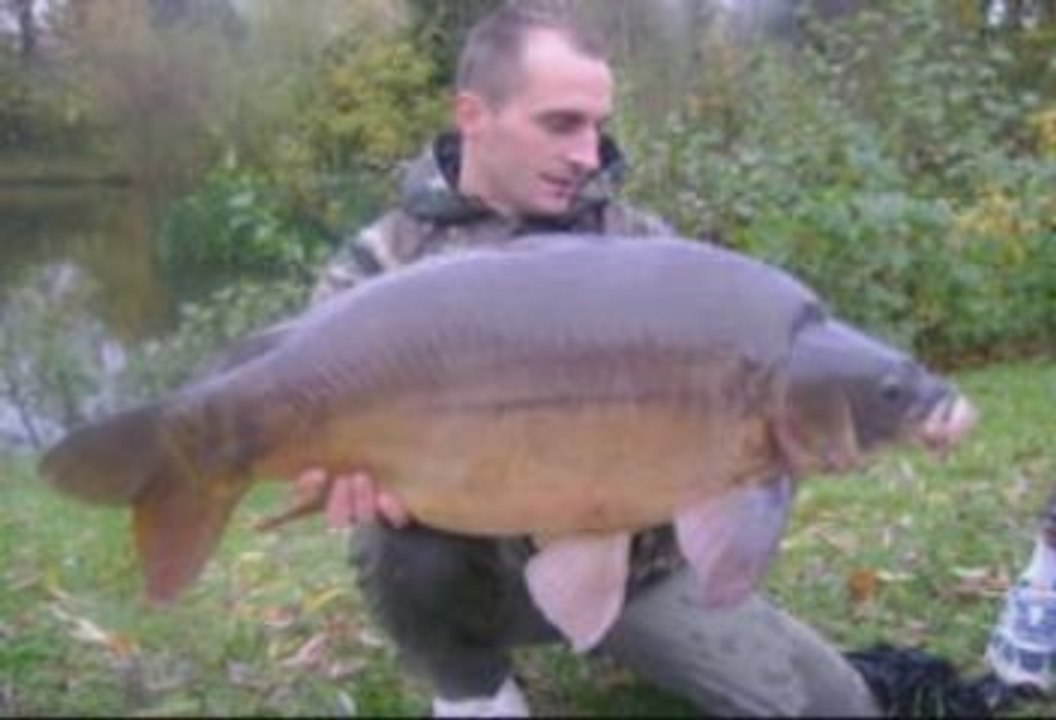 photos carpe 2008 a 2009