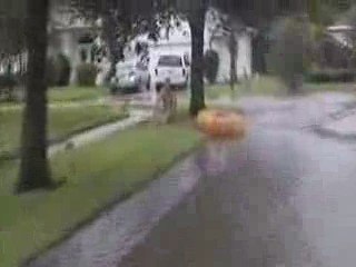 PETIT DELIRE APRES UNE TORNADE