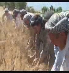 Genimdirûn , Hakkari