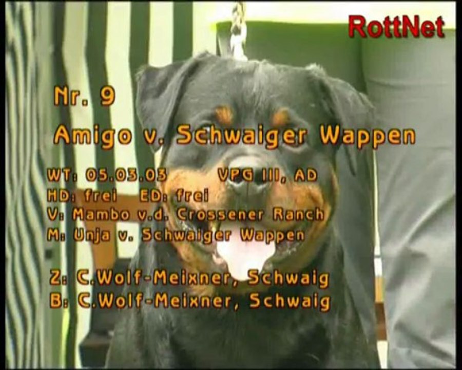Rock & Rott 1