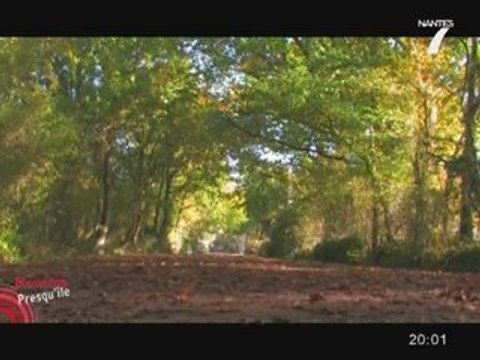 Presqu'île de Guérande : Le marais de Brière