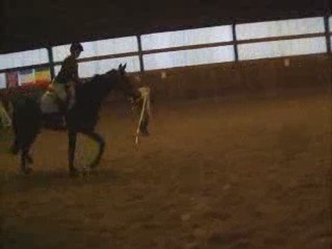 Poulain (débourage)