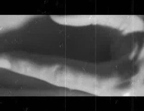 Duas Mentiras e Algumas Verdades