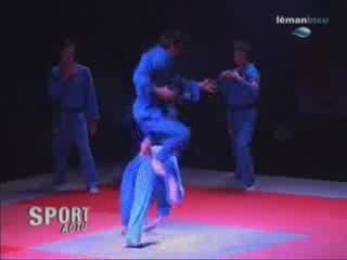 Leman Bleu - Vovinam au Salon des arts martiaux 2009