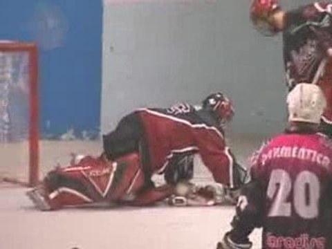 Nîmes bat Bordeaux (Roller Hockey N1)