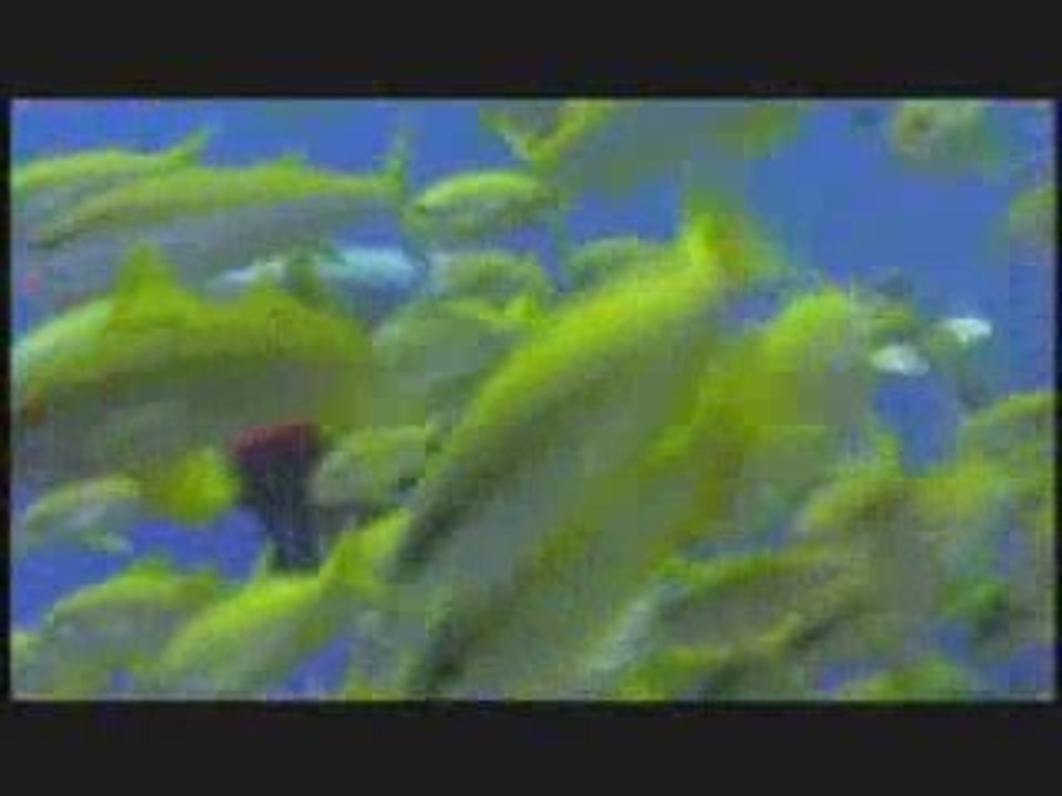 Explore Tropical Destinations with Gray Line