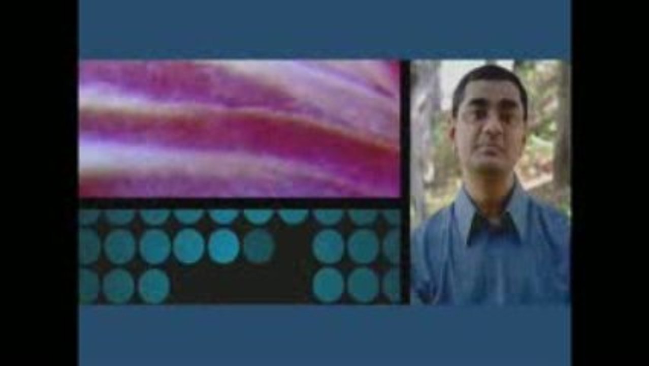 IBM Smarter Planet: Data Analysis and Optimization