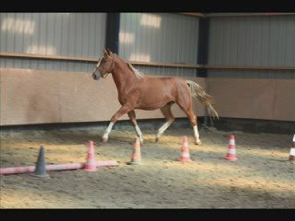 roadster de keranden (4ans sauts en liberté_0001)