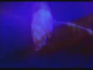 All That And a Bag Of Chips...