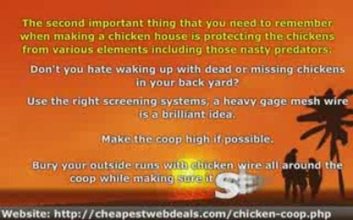 The 5 Things to Consider When Making a Chicken House