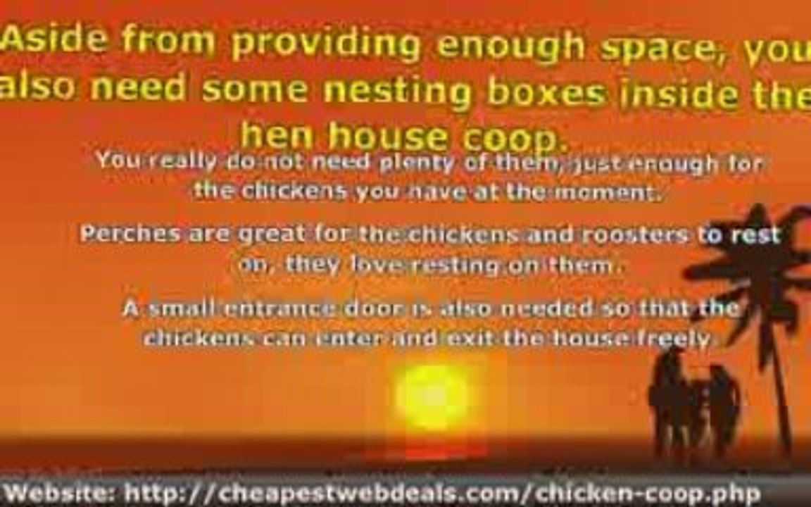 Learn The Things You Need in Your Hen House Coop