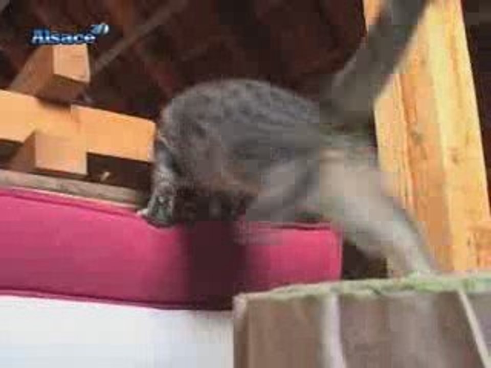 Economie d'energie : Equipez votre maison !