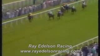 ray edelson horse racing and sports betting service