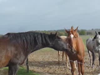 Quiator et ses voisins nov 09 (2)