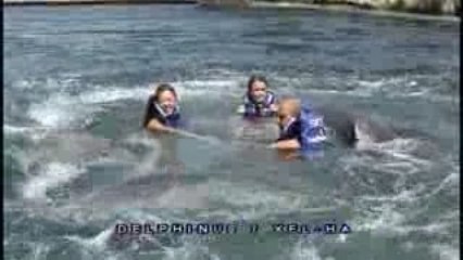 VACANCES AVEC LES DAUPHINS OCTOBRE 2009