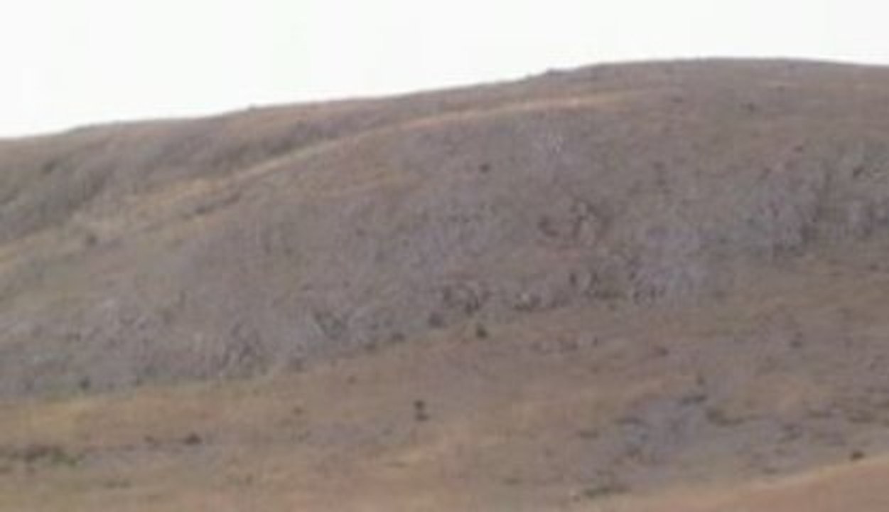 keklik ve tavşan avı