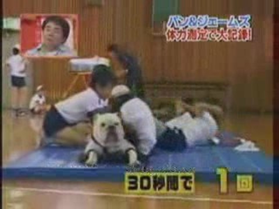 gymnastique