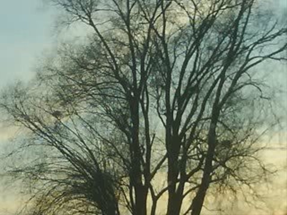 mes plus belles photos