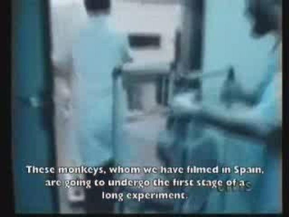 José Delgado-Corrida et vivisection