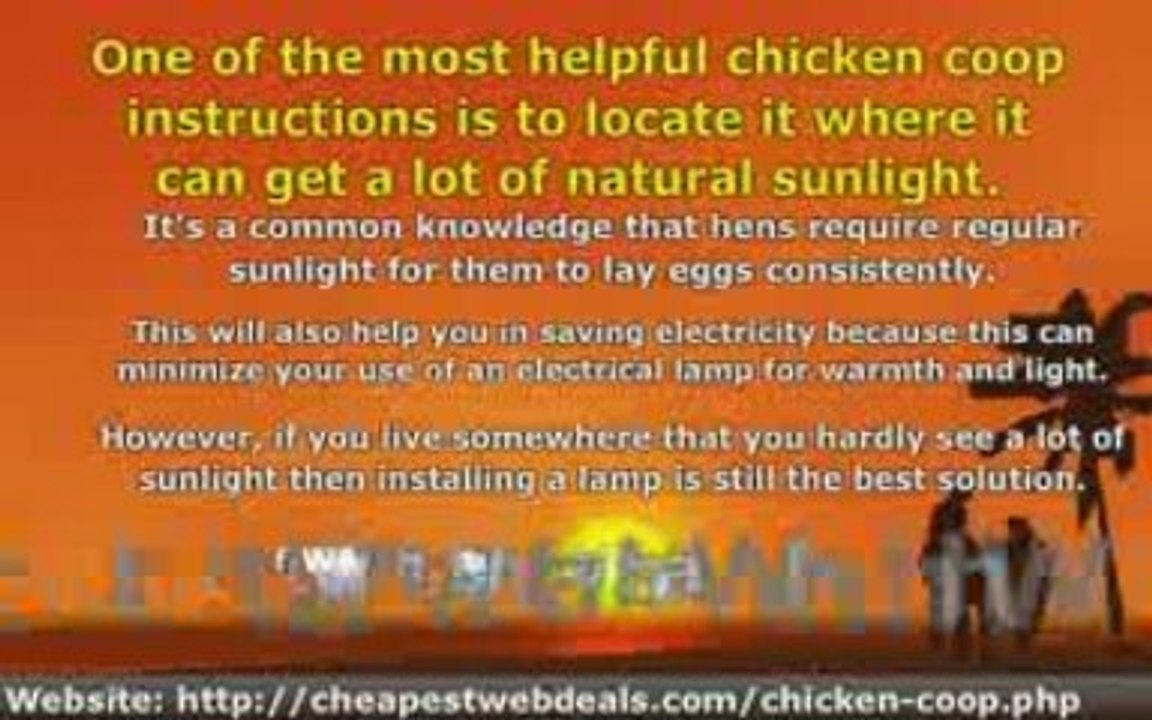 Instructions On How to Position Your Chicken Coop