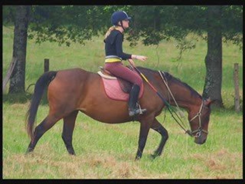 Chevaux qui ont laissé leur traces dans mon coeur... <3