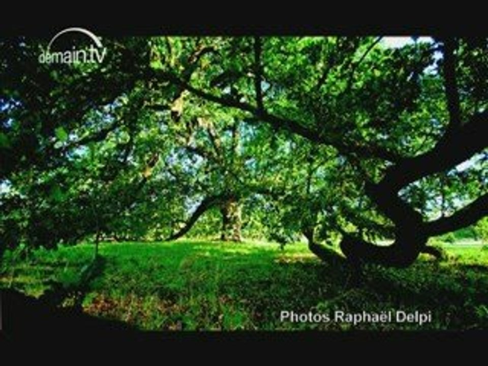 Magazine Atouts Tarn N°10 Novembre 2009