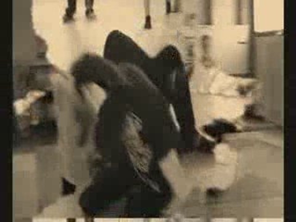 NWE Raziel promo 2009