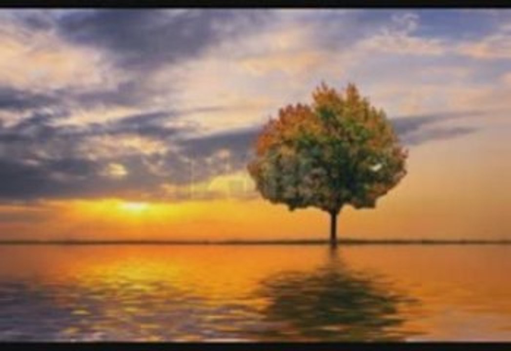 (sad song) Honors of our fame composition piano