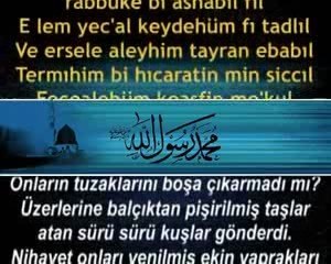 Fil Suresi - Evladi Resul  Kabe Imami Türkçe(Meali)