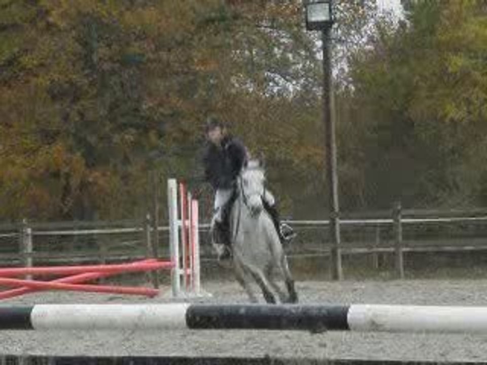 Concours Passing-shot D3 ponam