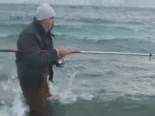 Çanakkalede Kaçan Dev Levrek