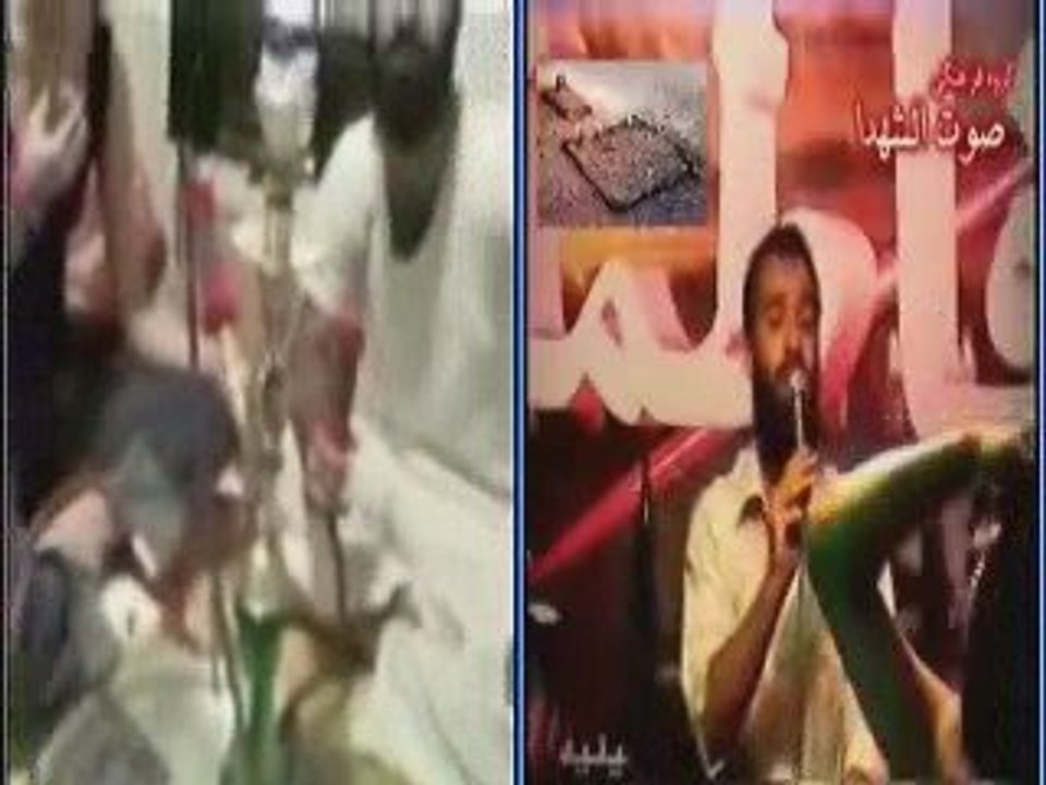 Chiisme: Voila l'exemple de pieté à suivre !!