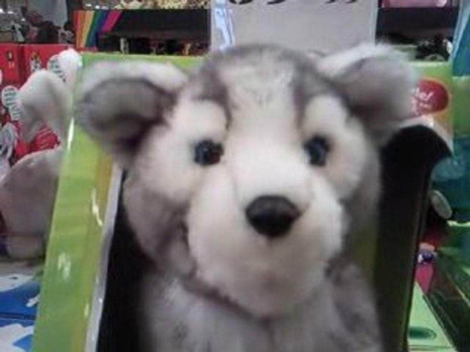 2009-10-26 Bebe Husky Peluche