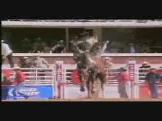 See the Calgary Stampede in Calgary, AB