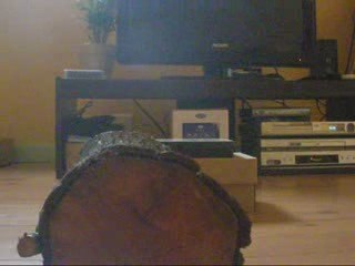 Quicky Futur champion de Saut xD