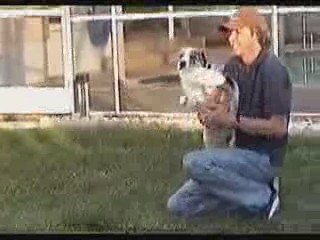 Merlin The Magician