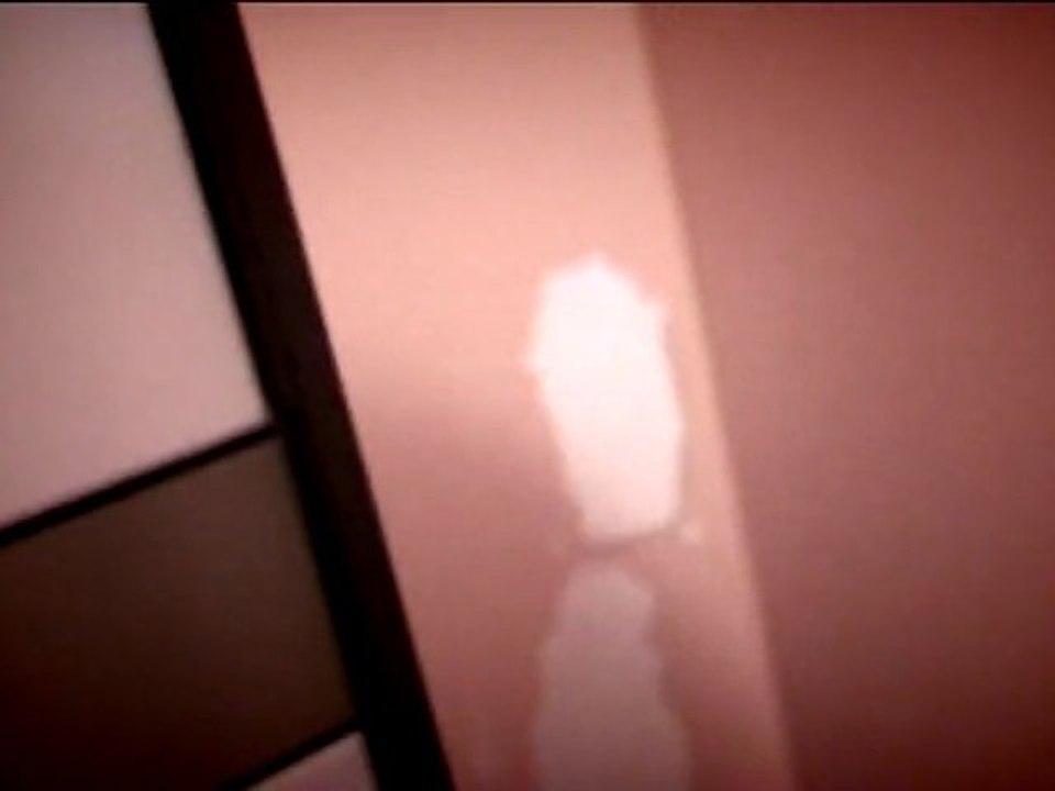 toilettes japonaises