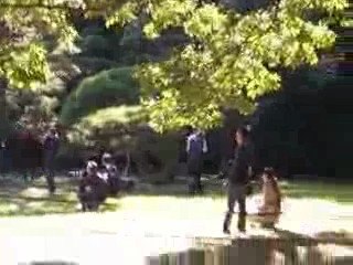 Meiji jingu 4