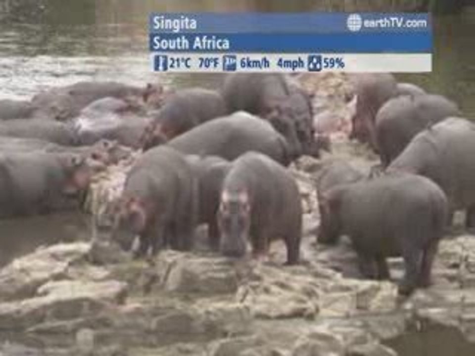 Amsterdam - Netherlands, Johannesburg - South Africa, Hong Kong SAR - China, Bandar Seri Begawan - Brunei, Singita - South Africa, Kyiv - Ukraine, Paris - France