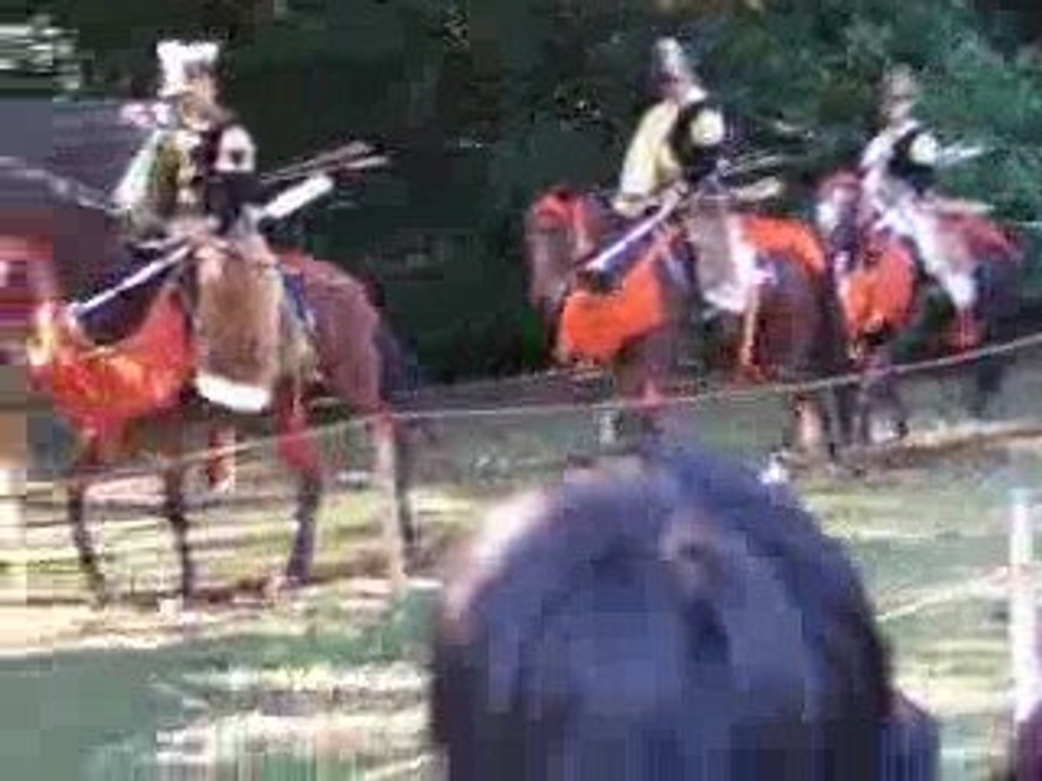 Meiji jingu 6